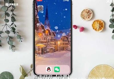 苹果X相机怎么设置反镜像 苹果X相机如何设置反镜像