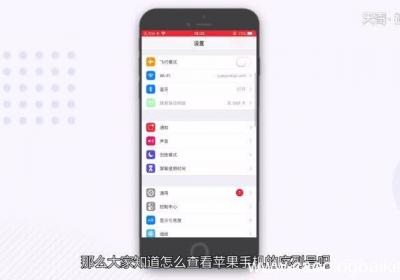 苹果手机怎么查看序列号苹果手机查看序列号步骤