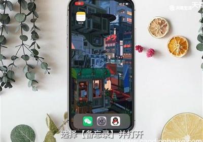 苹果手机如何扫描文件 苹果手机怎么扫描文件