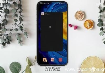 微信拍一拍在哪 微信拍一拍在什么地方