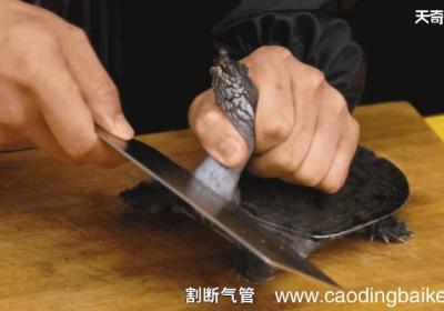 怎么正确杀甲鱼，怎样正确杀甲鱼