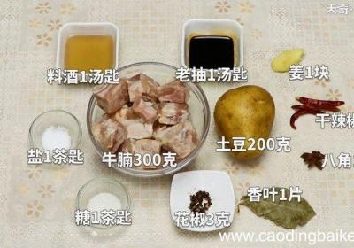 红烧牛腩 红烧牛腩的做法