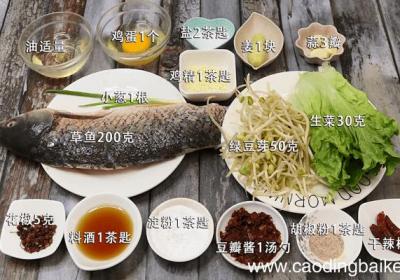 水煮鱼片 水煮鱼片的做法