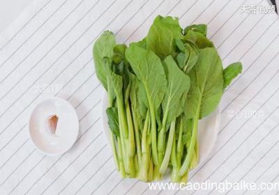 清炒菜心的做法