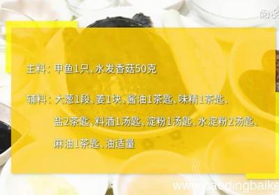 滑炒甲鱼的做法 如何做滑炒甲鱼