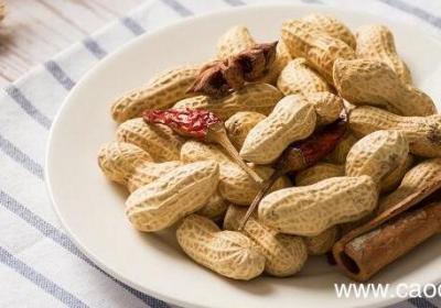 落花生课文原文 小学语文《落花生》课文原文