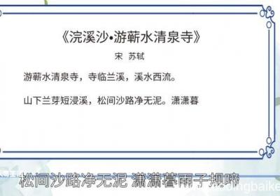 浣溪沙赏析 浣溪沙诗词赏析