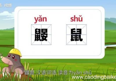 鼹鼠的意思 鼹鼠的解释