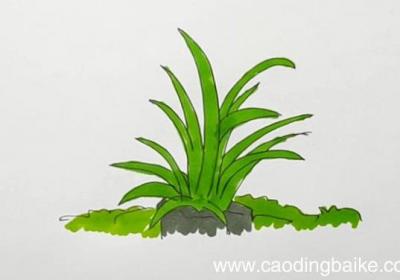 草丛简笔画