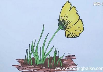 小花简笔画 小花怎么画