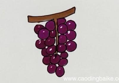 葡萄图片简笔画