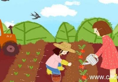 写菜园的比喻句 写菜园的比喻句有哪些