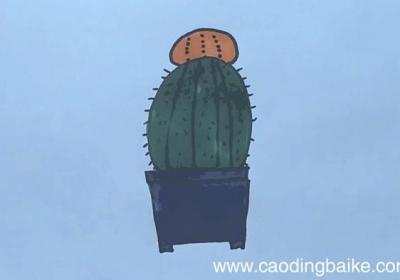 仙人球简笔画仙人球怎么画