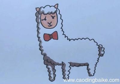羊驼简笔画 羊驼简笔画步骤图