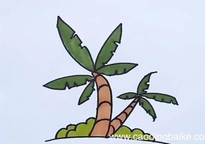 椰子树简笔画 椰子树简笔画带颜色