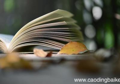 芦花鞋的课文主要内容是什么 芦花鞋的课文主要内容是讲什么