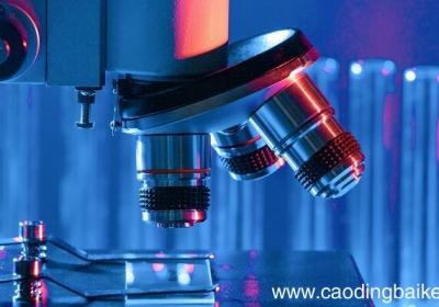 哪些细胞器是亚显微结构，亚显微结构细胞有哪些