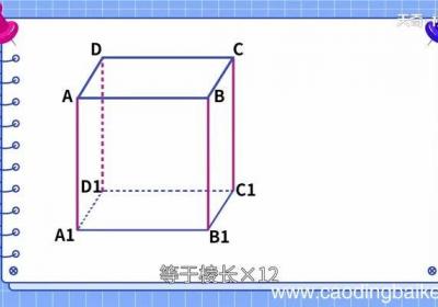 正方体的棱长总和等于什么正方体的棱长总和怎么算