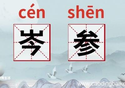 岑参的意思 岑参的意思是什么