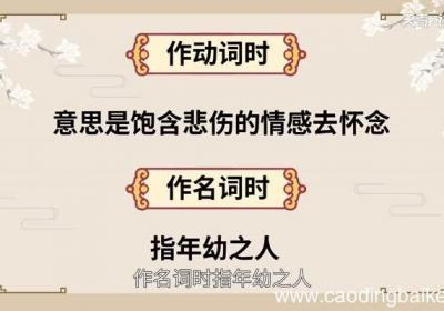 悼怎么读 悼的读音