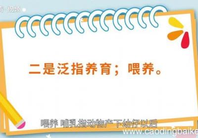 哺乳的意思 哺乳的意思是什么