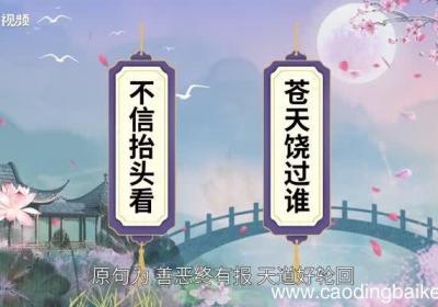 苍天饶过谁前一句 苍天饶过谁的前一句是什么