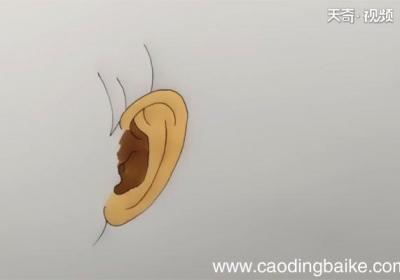 耳朵简笔画