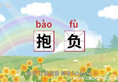 抱负的意思 抱负的意思是什么