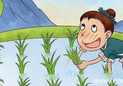 揠苗助长明白了什么道理 揠苗助长明白什么道理