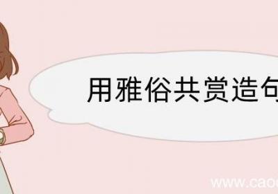 用雅俗共赏造句 用雅俗共赏造句咋写