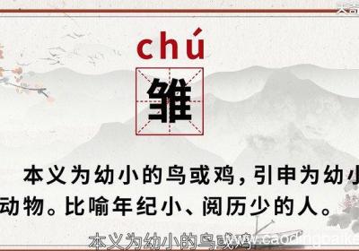 雏怎么读 雏的读法