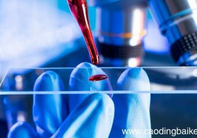 钠和硫的化学方程式 钠和硫的化学方程式是什么