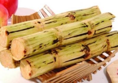 甘蔗,冰箱,水果