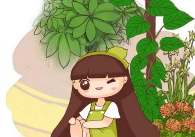 你养的绿萝蟹爪兰,竟然还有这种寓意……