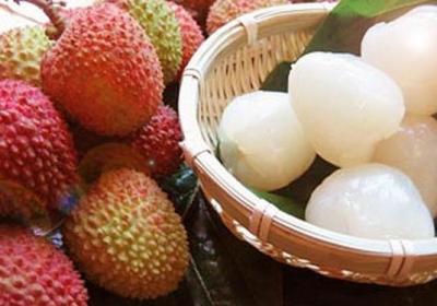 荔枝,糖尿病,水果,膳食