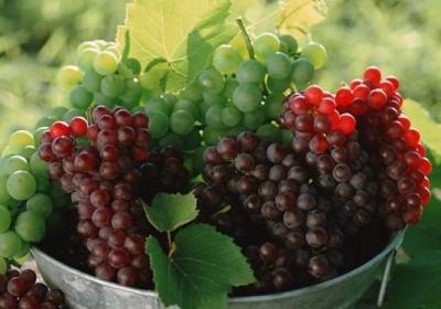 排毒,养颜,蔬菜,水果