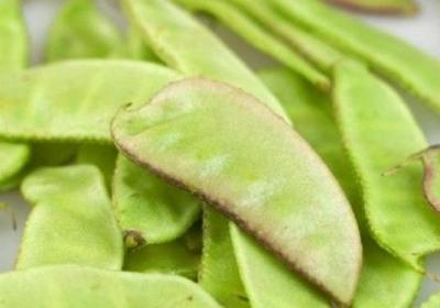 蔬菜,生吃,有毒,吃蔬菜