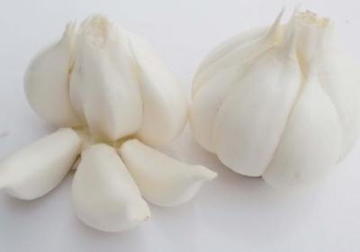 大蒜,蔬菜,防癌,癌症