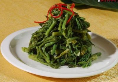 蕨菜,腌菜,蔬菜