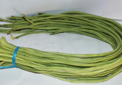 豇豆,蔬菜,膳食
