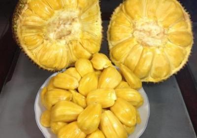 菠萝蜜,孕妇,水果