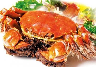 螃蟹,大闸蟹,海鲜