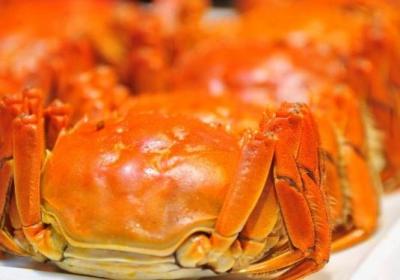 大闸蟹,螃蟹,海鲜