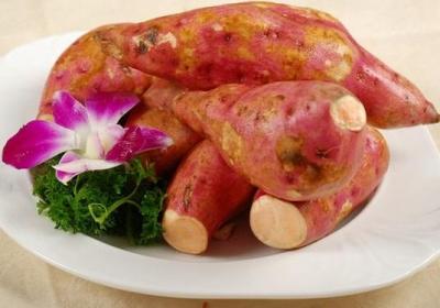 红薯,饮食,发芽