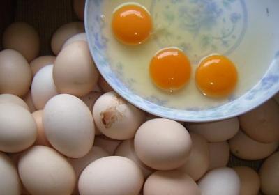 鸡蛋,膳食,喝汤