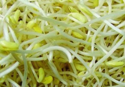 绿豆芽和黄豆芽哪个贵,怎么区别
