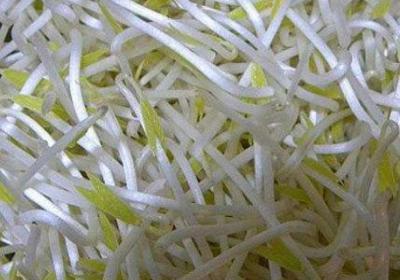 如何挑选绿豆芽,绿豆芽发苦发红有毒吗？