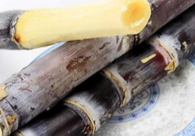 甘蔗,蔗糖,白糖
