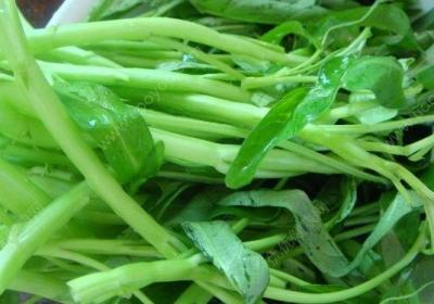 空心菜,解药,吃药