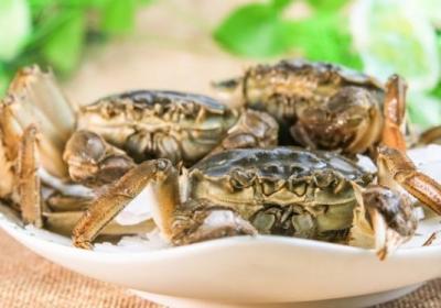 螃蟹,海鲜,大闸蟹